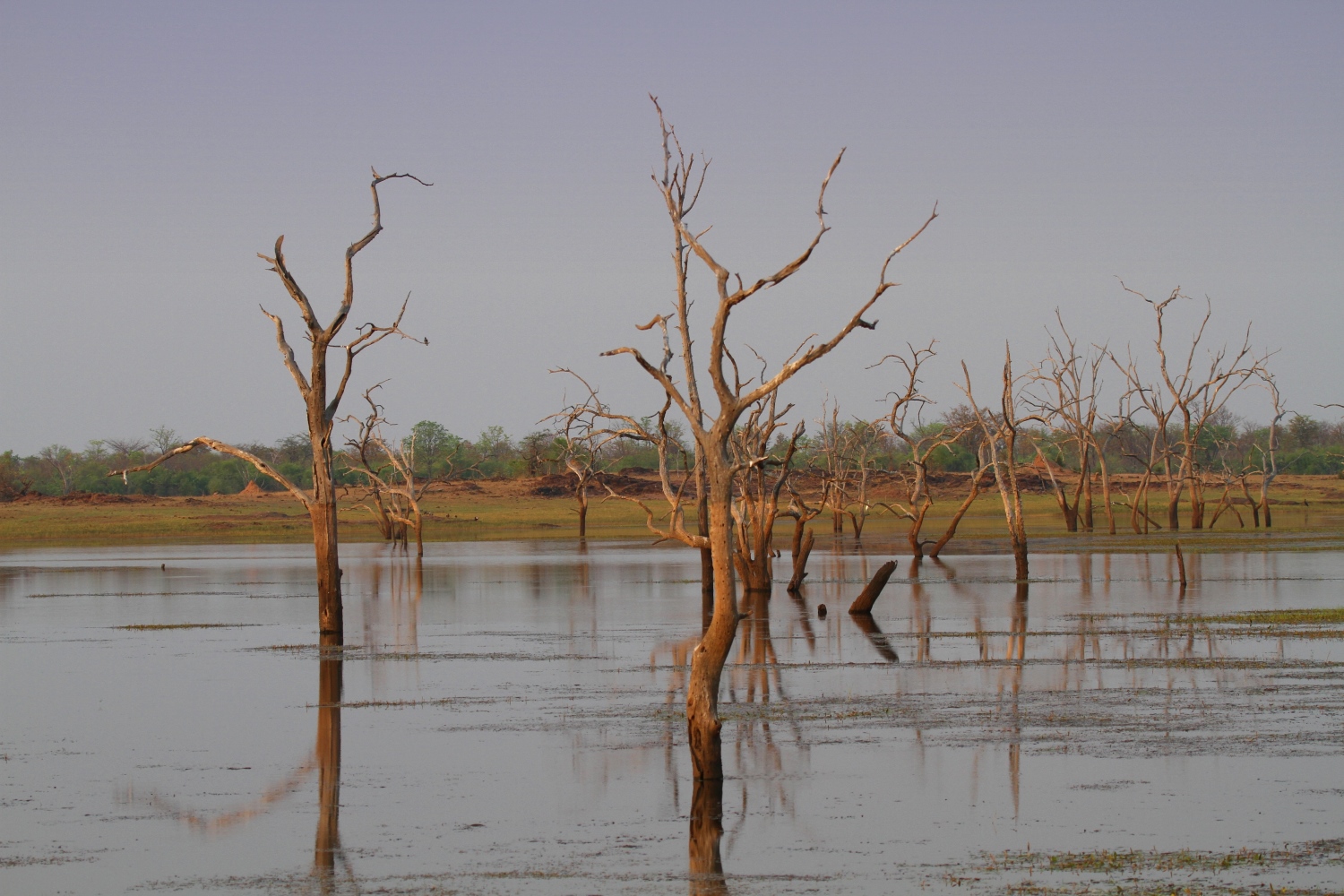Lagune im Matusadona National Park – Zimbabwe