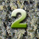 Die Nr. 2!