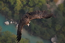 Anflug