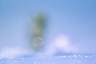 Schneeschmelze #2