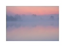Morgenrot