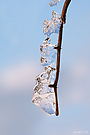 Der Winter ist zurück