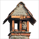 ein Zuhause