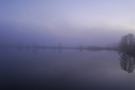 blaue Stunde im Nebel