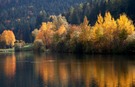 Herbstfarben am See