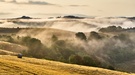 Nebel in den Hügeln der Toskana