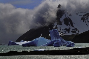 Bröselnde Eisberge in der Fortuna Bay - 2.Version