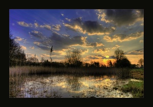 Ein Morgen im Moor