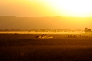 Sonnenuntergang in der Masai Mara