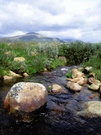 ~clean water in Dovrefjell~