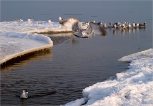 ~ Winter an der Ostsee X ~