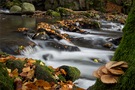 Strohner Schweiz im Herbst