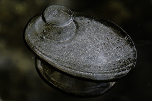 Raumschiff im Eis