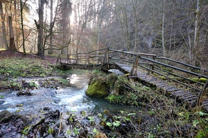 Naturnahe Brücke